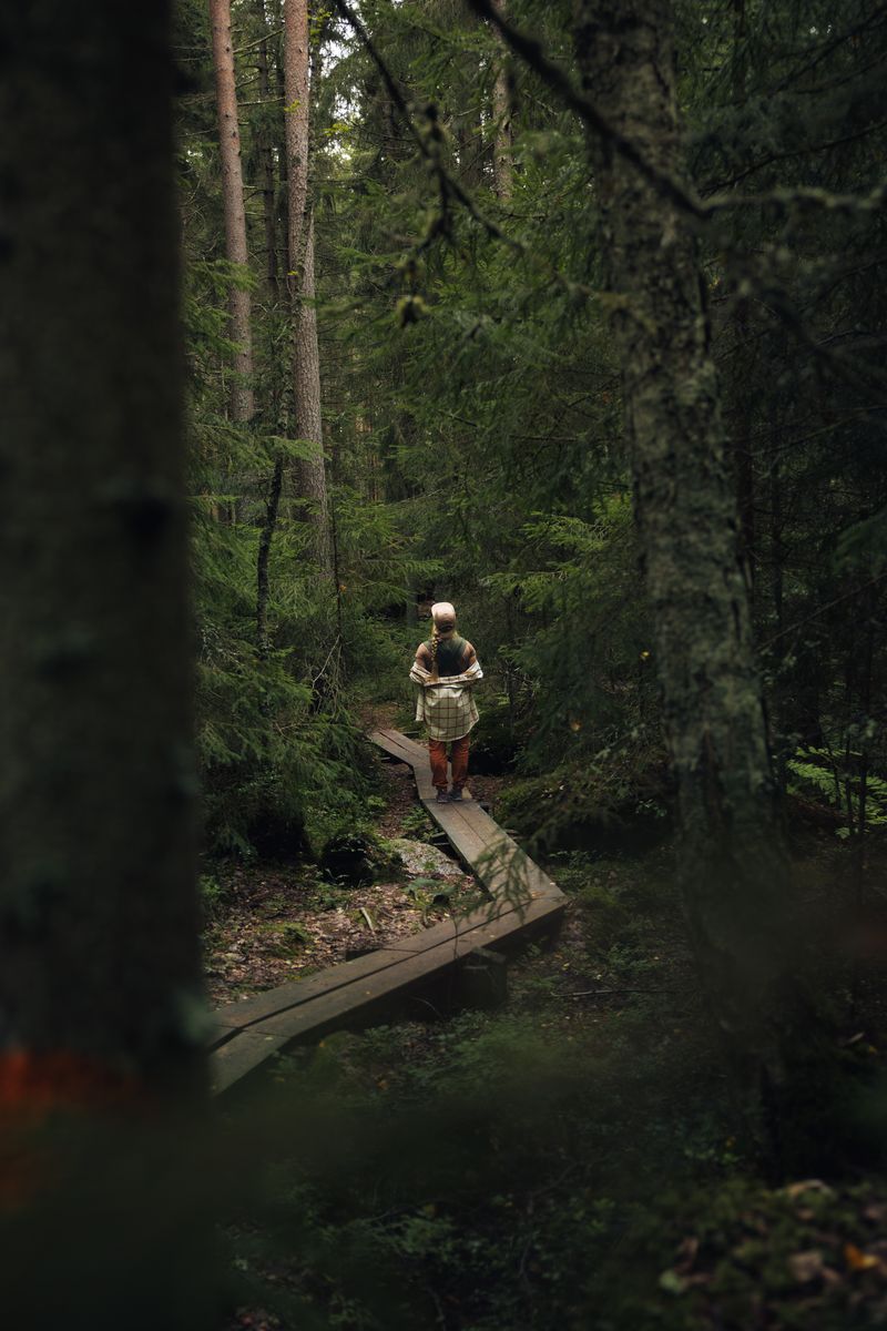 Calming forest bathing @Arctic Nook