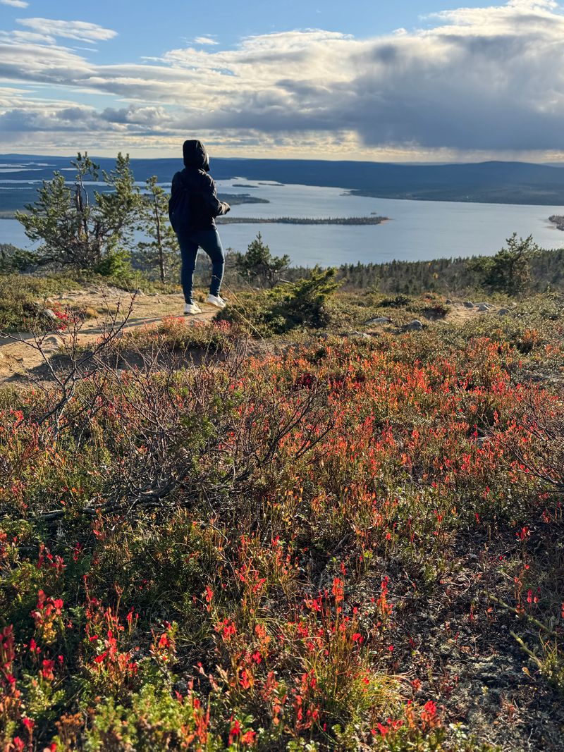 Hiking in the national parks in Levi and its surroundings@Arctic Nook