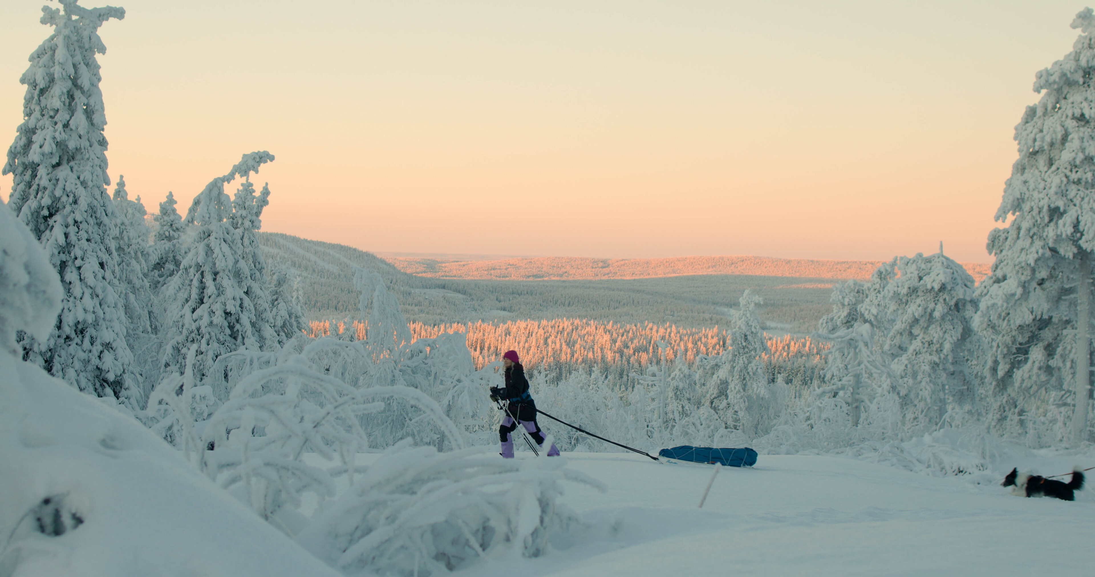 Syöte National Park